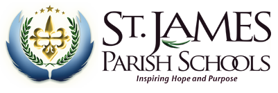 Logo of SJPS Moodle
